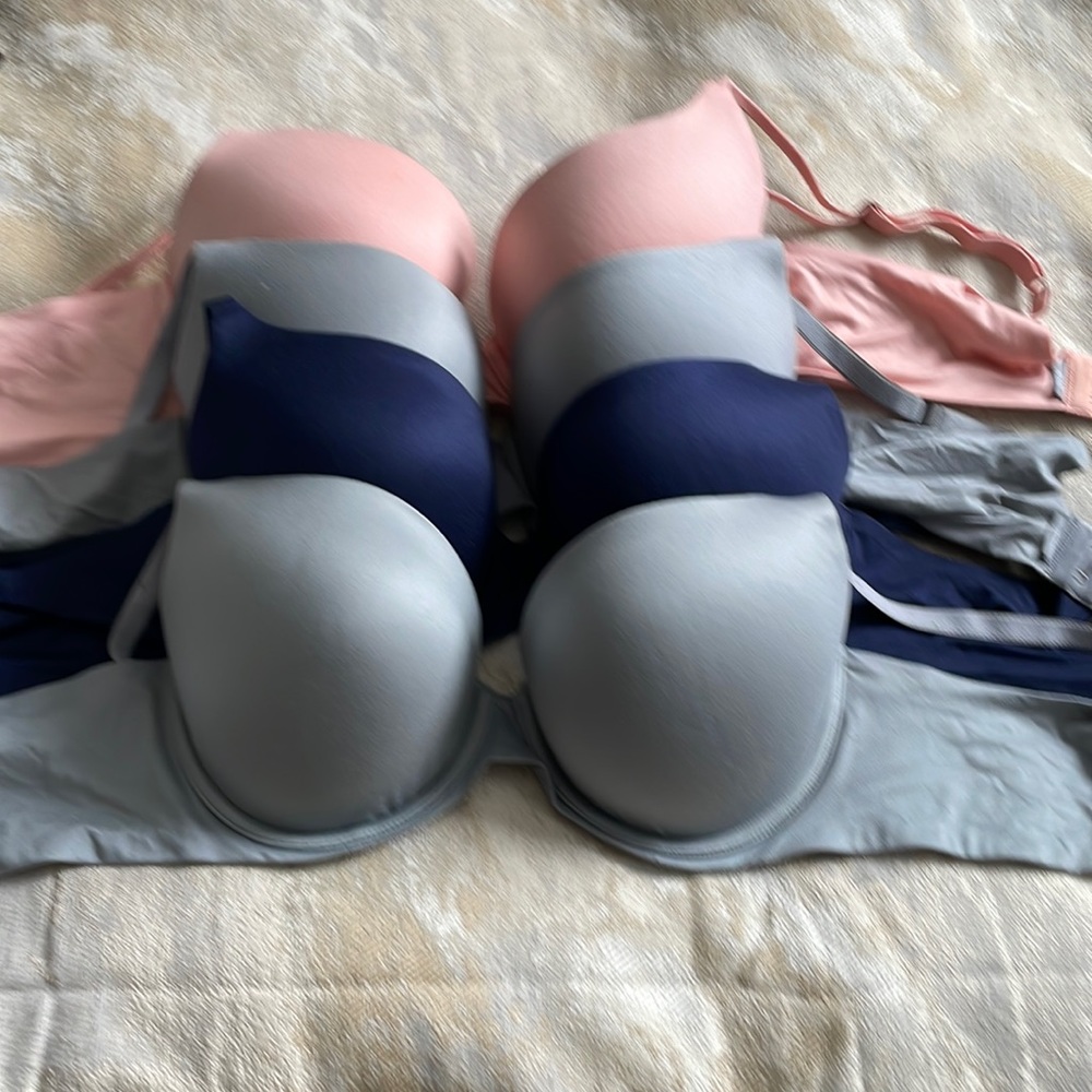 Aerie Sunnie push-up 34 DD